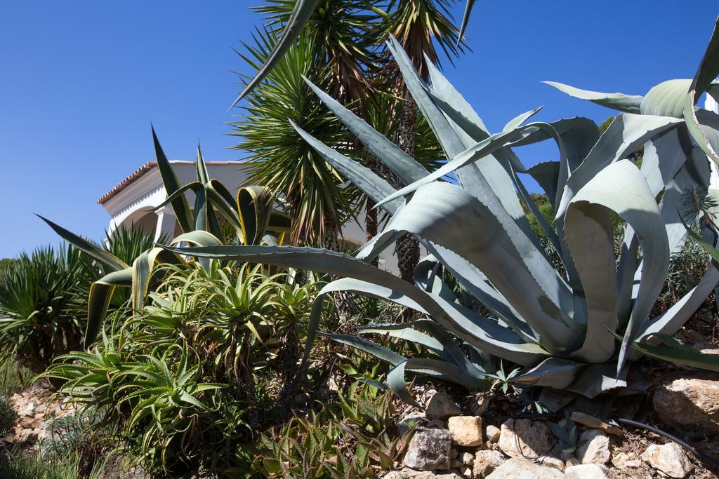 Villa Stephanie Mougins Ngoại thất bức ảnh